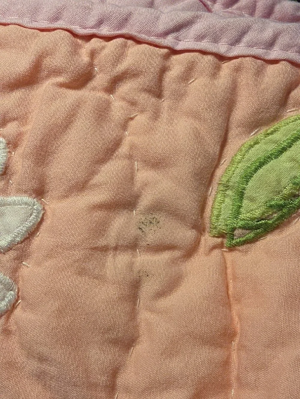 Pottery Barn Kids Daisy Garden Pink Blues Floral Appliqué Embroidered Quilt Twin